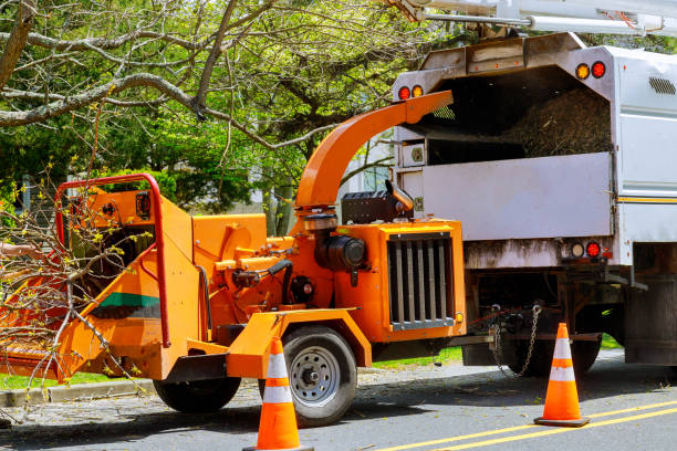 How Our Tree Care Process Works  in  Blanchester, OH